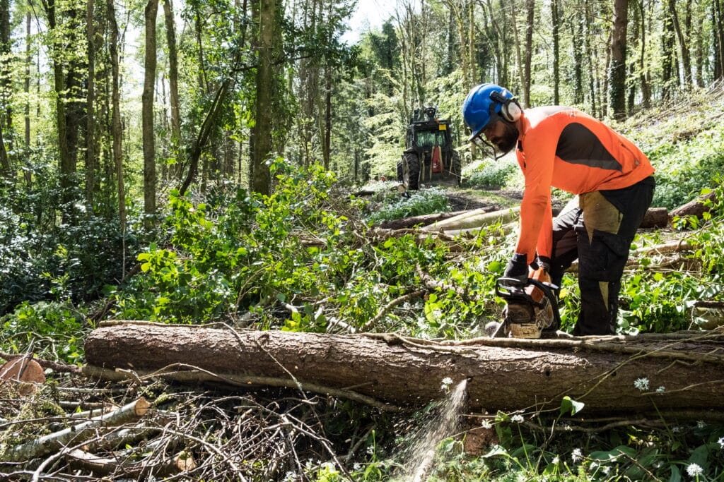 Trabajo forestal en USA: oportunidades, visas y protecciones